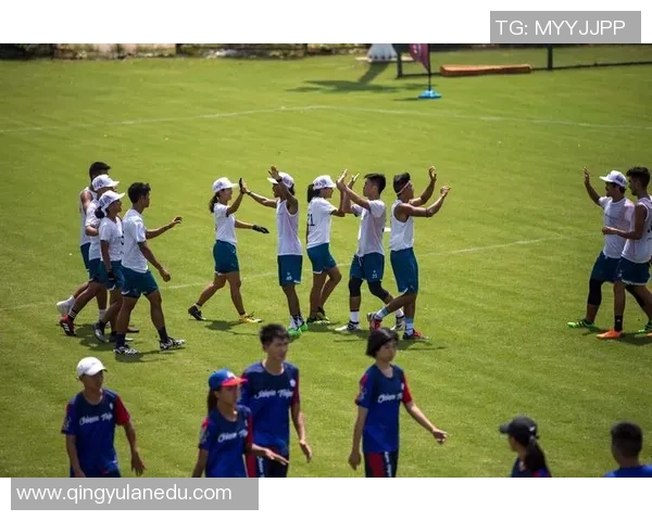 武汉飞盘队的团队协作之道：如何在飞盘运动中实现默契与配合